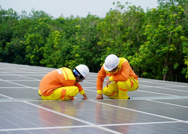 Alternate Energy Hawaii solar energy image